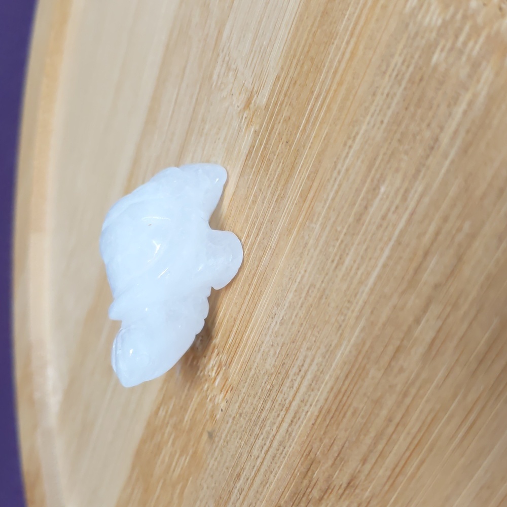 Mini Quartz Turtle 🐢 - Picture 7 of 12